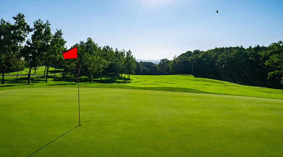 ゴルフレッスン